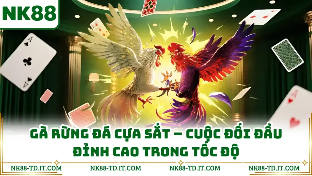 Gà Rừng Đá Cựa Sắt - Cuộc Đối Đầu Đỉnh Cao Trong Tốc Độ