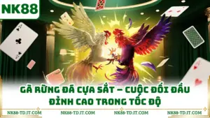 Gà Rừng Đá Cựa Sắt - Cuộc Đối Đầu Đỉnh Cao Trong Tốc Độ